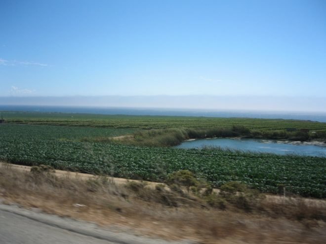 california, california farming, dry farming