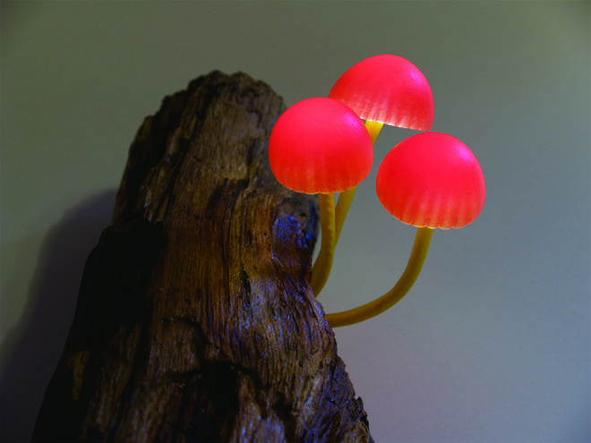 mushroom lamps, LED mushroom lamps, Yukio Takano, Great Mushrooming by Yukio Takano, LED sculptures mushrooms, resin clay LED lamps, resin clay mushrooms,