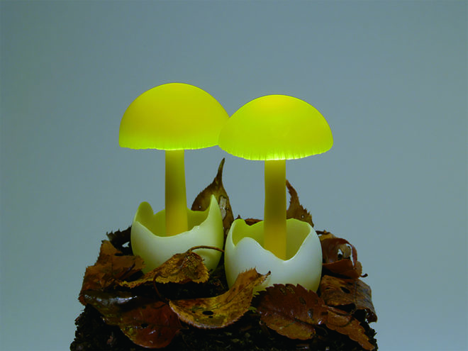 mushroom lamps, LED mushroom lamps, Yukio Takano, Great Mushrooming by Yukio Takano, LED sculptures mushrooms, resin clay LED lamps, resin clay mushrooms,