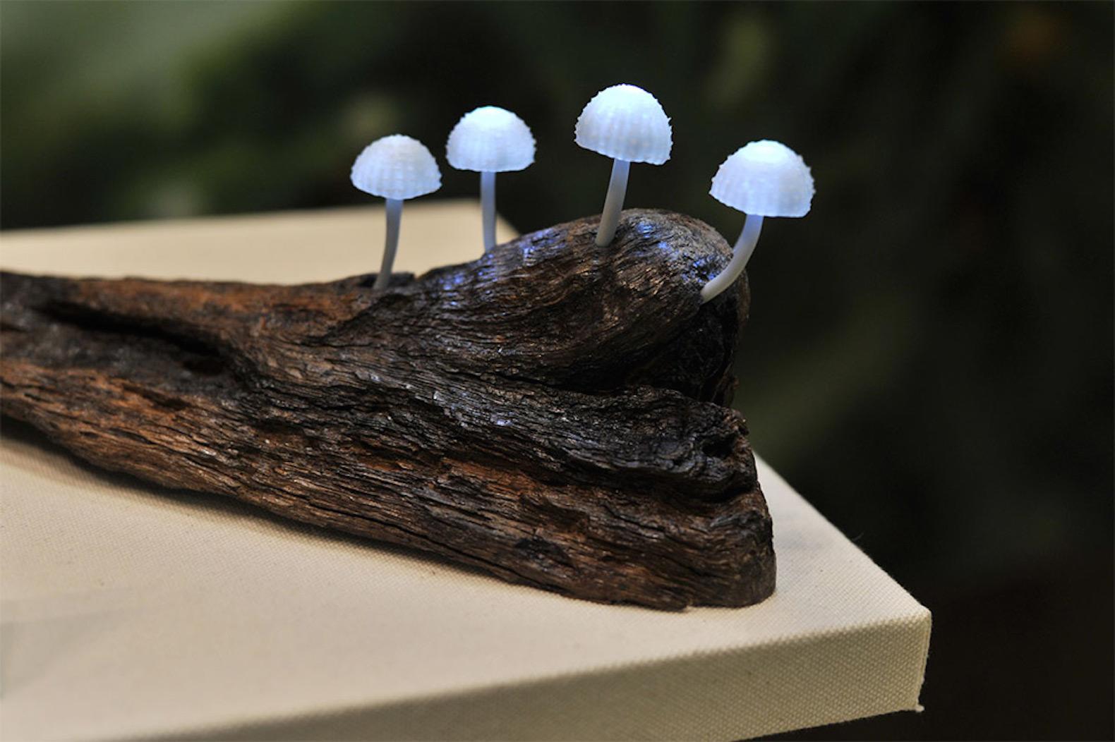 mushroom lamps, LED mushroom lamps, Yukio Takano, Great Mushrooming by Yukio Takano, LED sculptures mushrooms, resin clay LED lamps, resin clay mushrooms,