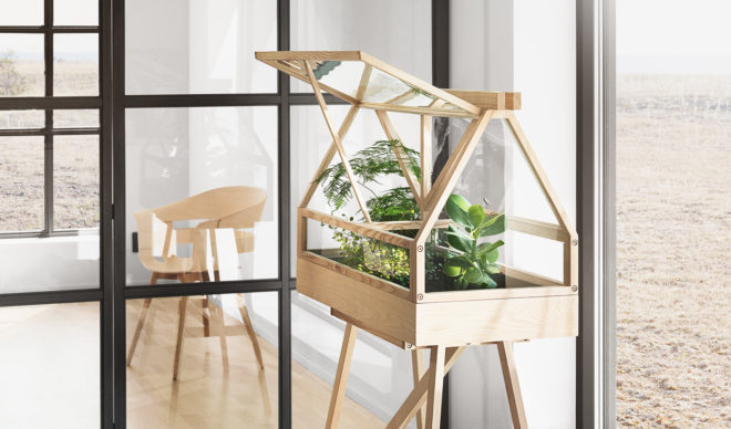 Greenhouse, Atelier 2+, MoMA gifts, indoor greenhouse, miniature indoor Garden, greenhouse design, indoor garden, mini garden, Greenhouse from Bangkok, MoMA Greenhouse, holiday gifts for green thumbs