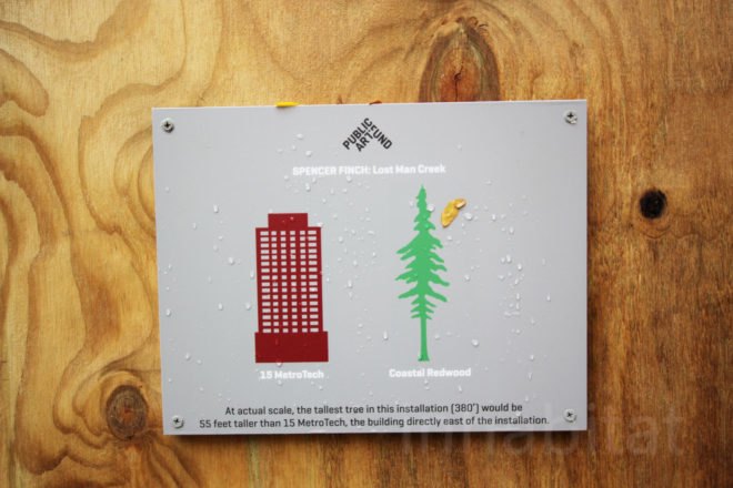 dawn redwoods, living tree art installation, lost man creek, metrotech commons, miniature redwood forest in brooklyn, spencer finch, nyc art, miniature forest, brooklyn forest, brooklyn art