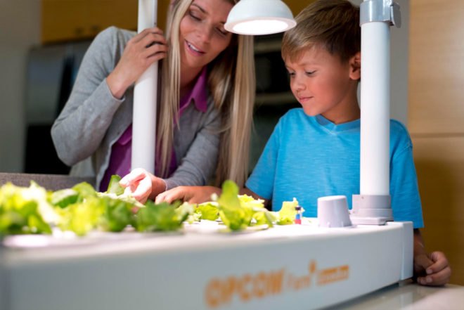 growbox, grow box, opcom, hydroponic garden, indoor garden, indoor gardening kit, hydroponic growing, opcom farm, indoor farm, tabletop far, indoor growing kit, grow your own food