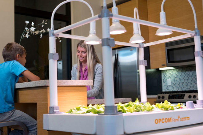 growbox, grow box, opcom, hydroponic garden, indoor garden, indoor gardening kit, hydroponic growing, opcom farm, indoor farm, tabletop far, indoor growing kit, grow your own food
