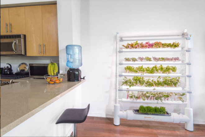 growbox, grow box, opcom, hydroponic garden, indoor garden, indoor gardening kit, hydroponic growing, opcom farm, indoor farm, tabletop far, indoor growing kit, grow your own food