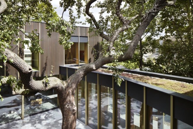Pear Tree House by Edgley Design, Pear Tree House in London, house built around a tree, architecture built around a tree, Victorian fruit orchard house, Jake Edgley house design
