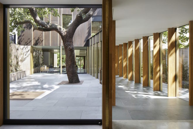Pear Tree House by Edgley Design, Pear Tree House in London, house built around a tree, architecture built around a tree, Victorian fruit orchard house, Jake Edgley house design