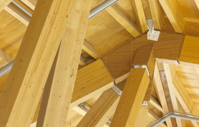 Philip J. Currie Dinosaur Museum by Teeple Architects, dinosaur museum in Alberta, dinosaur museum in Canada, beetle kill pine architecture, beetle kill pine museum, CNC milled beetle kill pine, sustainable dinosaur museum, dinosaur museum in Wembley,