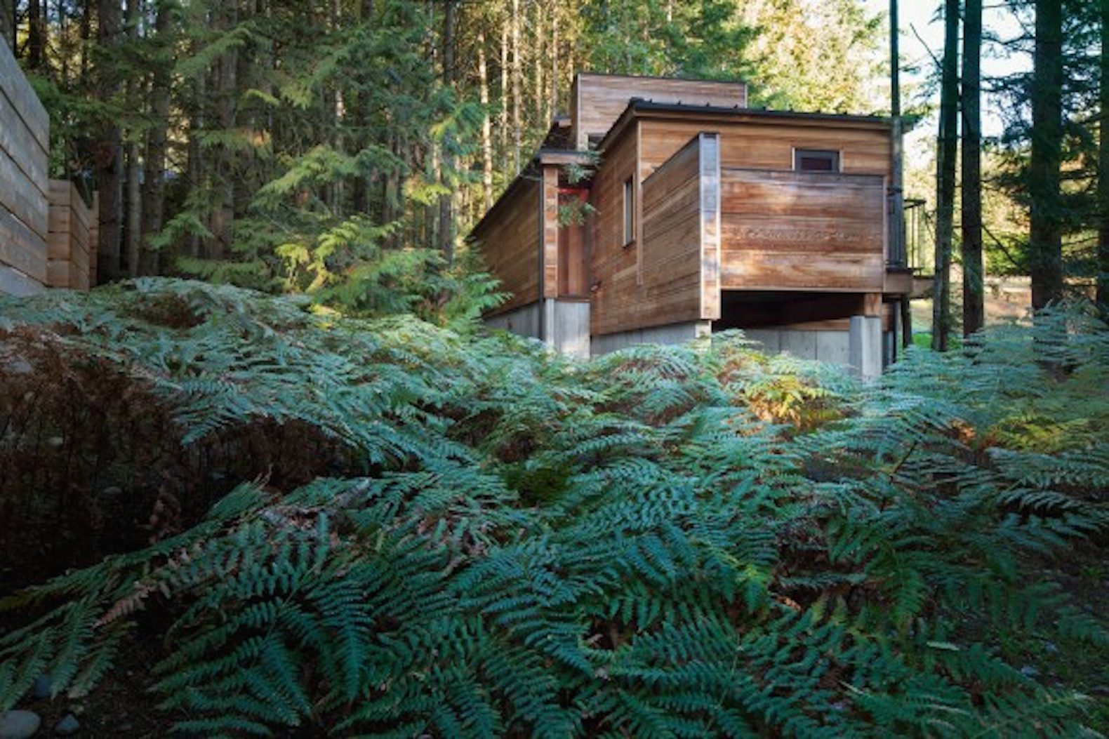 British Columbia Cabin, Rainforest Retreat by Agathom, Rainforest Retreat Architizer winner, artist studio in Vancouver Island, Vancouver Island cabin