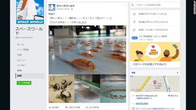 japan, space world, freezing port, japanese theme park, frozen fish in skating rink, skating rink attraction, ice skating, dead fish, social media protests