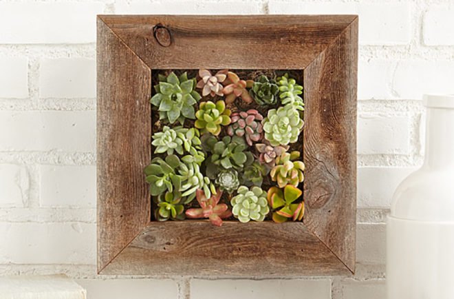 eco-friendly indoor garden, minature gardens, plant house, green holiday, green gift guide, green holidaygift guide, gifts for green thumbs, gifts for gardeners, plant gifts, eco friendly gardening presents, gardening gifts, gifts for gardeners, garden, gardeners, gardening, gardening presents, presents for gardeners, green thumb, green thumb gifts, garden gifts