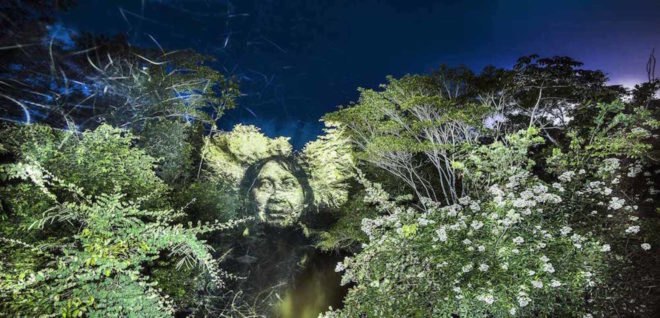The Blood Forest by Philippe Echaroux, Surui tribe Amazon, Amazon deforestation art, art raising awareness about deforestation