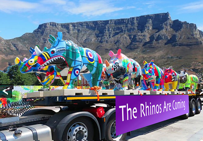 rhino poaching, The Grand Rhino Launch Tour, rhino sculptures cape town, cape town rhinos, CowParade, the rhinos are coming thundafund, TRAC, rhino conservation art project, art project to save rhinos, colorful rhino sculptures, life-sized rhino sculptures, Janice Ashby South Africa