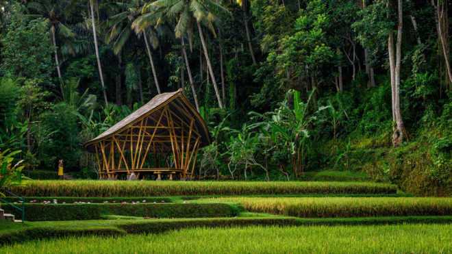 Yoga Pavilion at Four Seasons Resort, Ibuku, bamboo structure, green pavilion, Bali, flexible structure, flexible design, green architecture, lightweight, bamboo, Indonesia, traditional building technique