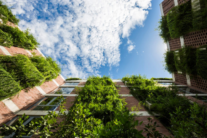 vietnam, Vo Trong Nghia Architects, vtn architects, vtn, atlas hotel, swimming pool, live plants, green wall, living green wall, green facade, tropical plants, hotel amenities