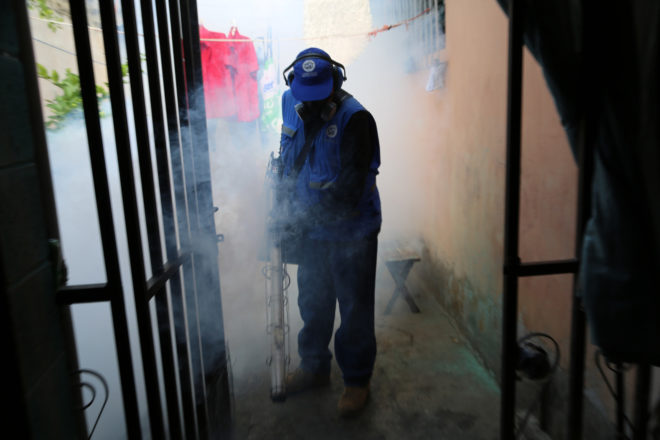 world health organization, who, zika virus, zika, aedes aegypti, mosquito-borne illness, pregnancy, birth defects, microcephaly, brazil, colombia, central america, florida