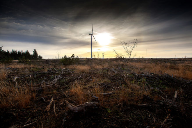 Vestas Wind Systems A/S, Vestas Wind Systems, Vestas, wind, wind power, wind energy, wind turbine, wind turbines, wind turbine maker, renewable energy, energy, Donald Trump, Trump, Trump presidency, Trump energy
