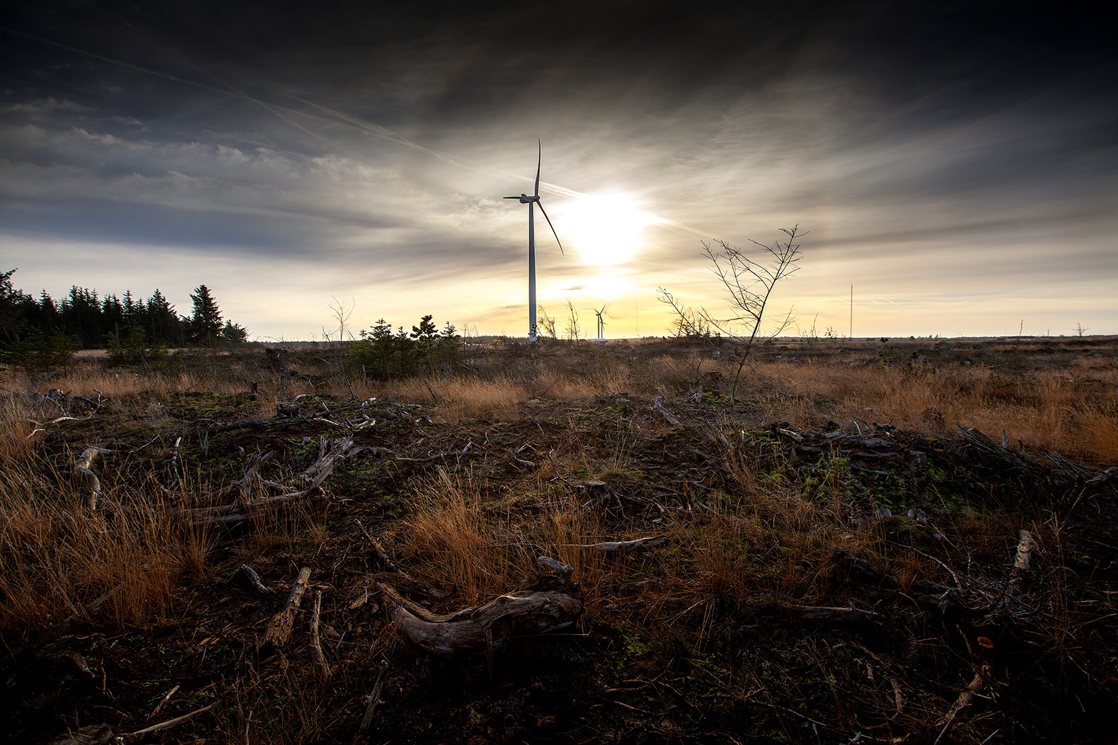 Vestas Wind Systems A/S, Vestas Wind Systems, Vestas, wind, wind power, wind energy, wind turbine, wind turbines, wind turbine maker, renewable energy, energy, Donald Trump, Trump, Trump presidency, Trump energy