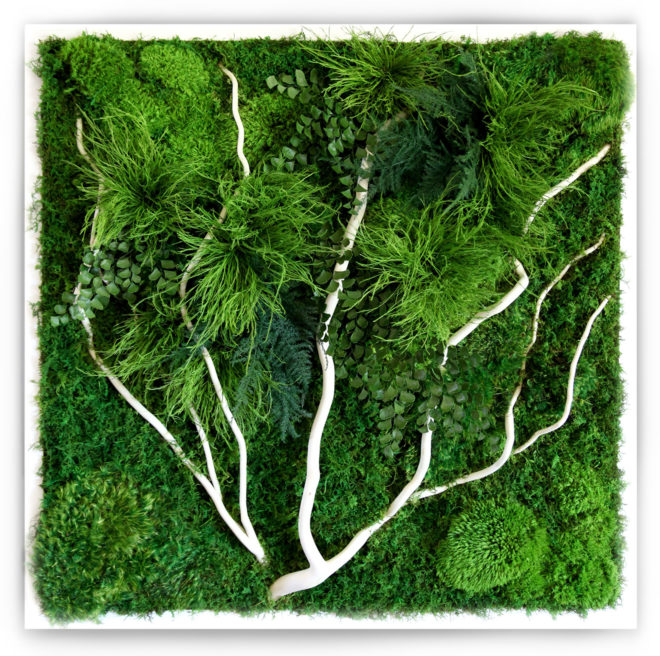 eco-friendly indoor garden, minature gardens, plant house, green holiday, green gift guide, green holidaygift guide, gifts for green thumbs, gifts for gardeners, plant gifts, eco friendly gardening presents, gardening gifts, gifts for gardeners, garden, gardeners, gardening, gardening presents, presents for gardeners, green thumb, green thumb gifts, garden gifts