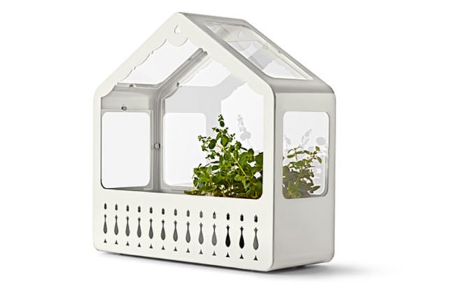 eco-friendly indoor garden, minature gardens, plant house, green holiday, green gift guide, green holidaygift guide, gifts for green thumbs, gifts for gardeners, plant gifts, eco friendly gardening presents, gardening gifts, gifts for gardeners, garden, gardeners, gardening, gardening presents, presents for gardeners, green thumb, green thumb gifts, garden gifts