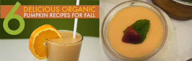 DIY, pumpkin, organic recipes, pumpkin shake, pumpkin butter, pumpkin pudding, pumpkin soup, pumpkin pasta sauce, roasted pumpkin seeds
