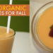 DIY, pumpkin, organic recipes, pumpkin shake, pumpkin butter, pumpkin pudding, pumpkin soup, pumpkin pasta sauce, roasted pumpkin seeds