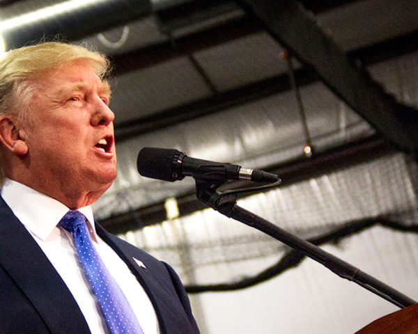 donald trump, president-elect donald trump, new york times, interview, donald trump interview, environment, climate change, paris talks, global warming, trump administration