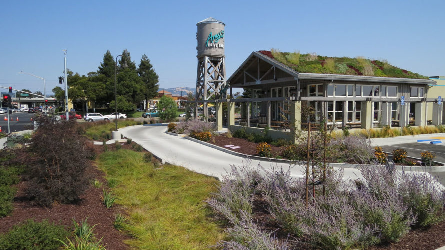 Amy's Kitchen Drive-Thru Restaurant, green roof, vegetarian restaurant, non-GMO food, GMO food, healthy food, organic food, drive thru, San Francisco, rainwater harvesting, storm water, drought-resistant plants, solar array, solar panels, green architecture