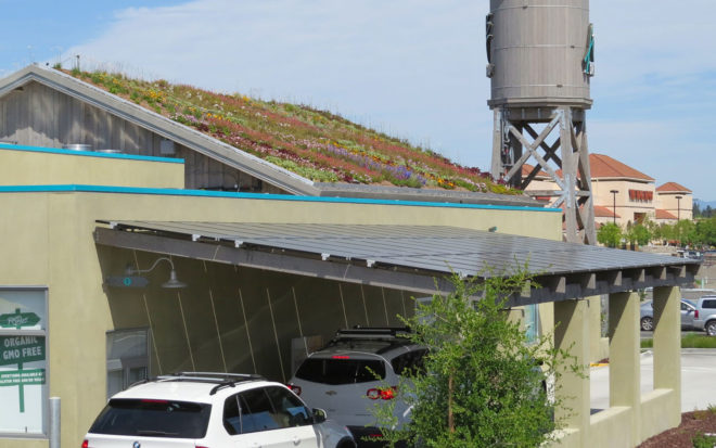 Amy's Kitchen Drive-Thru Restaurant, green roof, vegetarian restaurant, non-GMO food, GMO food, healthy food, organic food, drive thru, San Francisco, rainwater harvesting, storm water, drought-resistant plants, solar array, solar panels, green architecture