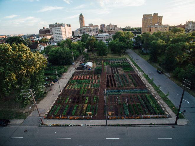 Michigan Urban Farming Initiative, MUFI, Michigan Urban Farming Initiative Sustainable Urban Agrihood, agrihood, urban agrihood, sustainable urban agrihood, urban, urban agriculture, urban farm, urban farms, urban farming, urban garden, urban gardens, agriculture, neighborhood, Detroit, food, local food, produce, local produce