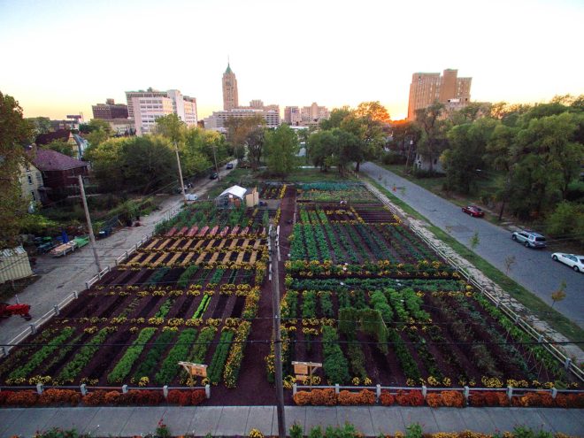 Michigan Urban Farming Initiative, MUFI, Michigan Urban Farming Initiative Sustainable Urban Agrihood, agrihood, urban agrihood, sustainable urban agrihood, urban, urban agriculture, urban farm, urban farms, urban farming, urban garden, urban gardens, agriculture, neighborhood, Detroit, food, local food, produce, local produce