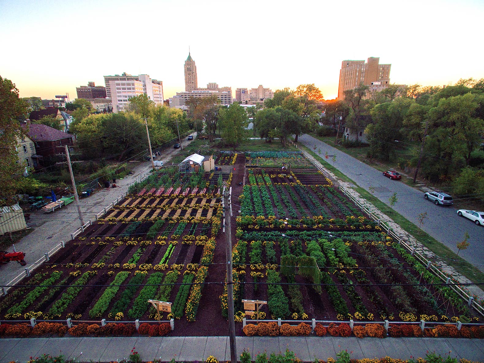 Michigan Urban Farming Initiative, MUFI, Michigan Urban Farming Initiative Sustainable Urban Agrihood, agrihood, urban agrihood, sustainable urban agrihood, urban, urban agriculture, urban farm, urban farms, urban farming, urban garden, urban gardens, agriculture, neighborhood, Detroit, food, local food, produce, local produce