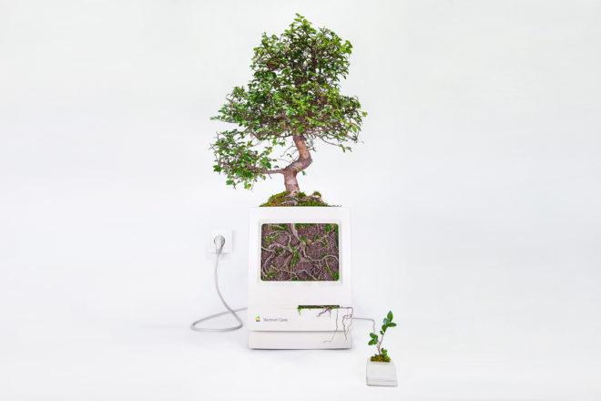 Monsieur Plant, Christophe Guinet, Plant your Mac!, Plant your Mac! by Monsier Plant, plant, plants, garden, gardens, greenery, technology, tech, nature, Apple, Mac, Macintosh, computer, computers, device, devices