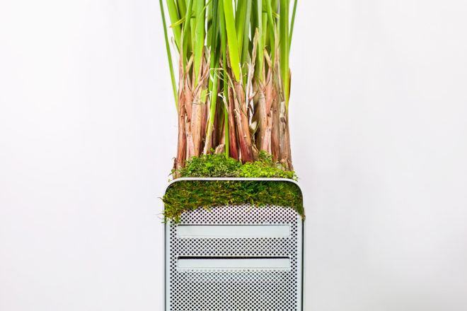 Monsieur Plant, Christophe Guinet, Plant your Mac!, Plant your Mac! by Monsier Plant, plant, plants, garden, gardens, greenery, technology, tech, nature, Apple, Mac, Macintosh, computer, computers, device, devices