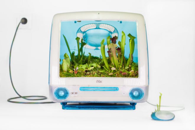 Monsieur Plant, Christophe Guinet, Plant your Mac!, Plant your Mac! by Monsier Plant, plant, plants, garden, gardens, greenery, technology, tech, nature, Apple, Mac, Macintosh, computer, computers, device, devices