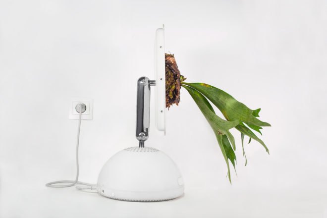 Monsieur Plant, Christophe Guinet, Plant your Mac!, Plant your Mac! by Monsier Plant, plant, plants, garden, gardens, greenery, technology, tech, nature, Apple, Mac, Macintosh, computer, computers, device, devices