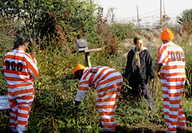 The Horticultural Society of NY, department of correction