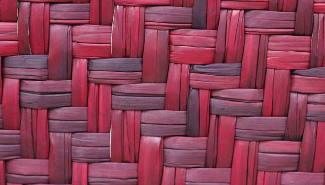 ecuadorian weaving, ecuadorian architecture, vernacular architecture, indigenous architecture, totora cube, Woven house in Ecuador, Archquid think-act tank, Totora's Cube, Ecuador, multi-use space, Totora plant, traditional weaving techniques, green architecture