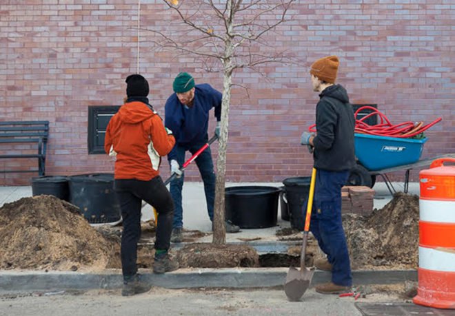 Brooklyn projects, New York City projects, ingenious use of commercial dumpsters, Gowanus Canal Conservancy