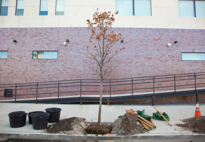 Brooklyn projects, New York City projects, ingenious use of commercial dumpsters, Gowanus Canal Conservancy