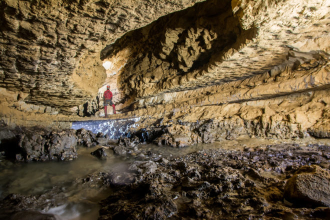 china, sinkholes, geology, Qinling-Bashan Mountains, Hanzhong, Shaanxi Province, Chinese giant flying squirrels, red and white giant flying squirrels, rare plants, rare animals