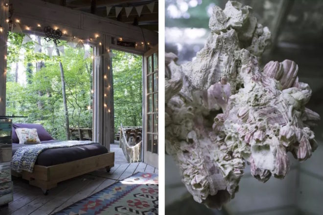 treehouse, Atlanta treehouse, Atlanta tiny homes, vacation tiny homes