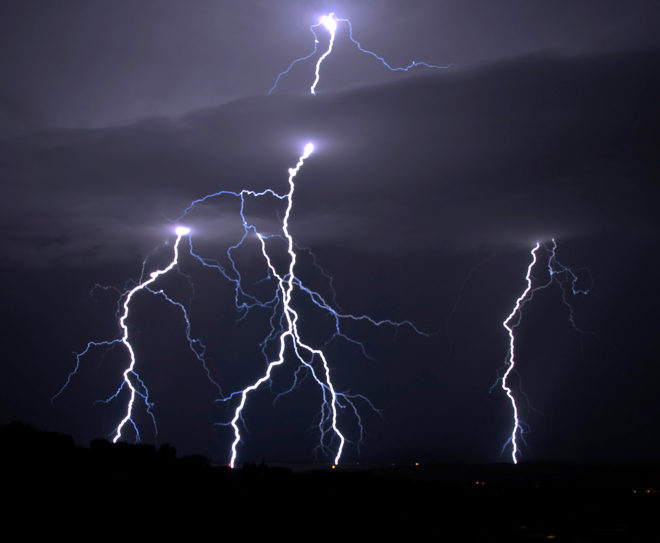 Bangladesh, tree, trees, palm tree, palm trees, lightning, lightning strike, nature, environment, government, tree planting, deforestation