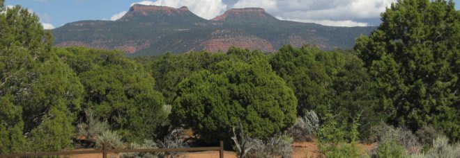 Big Oil, oil, oil company, oil companies, energy company, energy companies, oil and gas, oil lobby, oil lobbyists, oil industry, oil and gas industry, Donald Trump, Trump, national park, national parks, federal land, federal lands, environment, Bears Ears, Utah