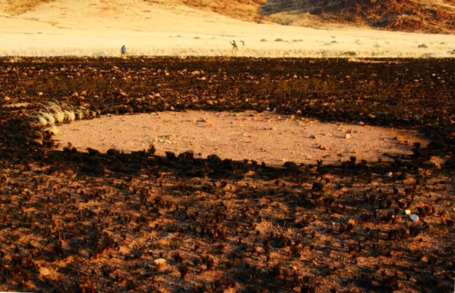 Namibia, Namib Desert, Fairy Circle