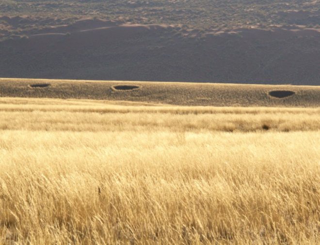 Namibia, Namib Desert, Fairy Circle