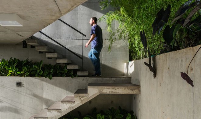 LEnS House, Obra Arquitetos, patio, Brazil, green roof, green architecture, glass facade, vegetation