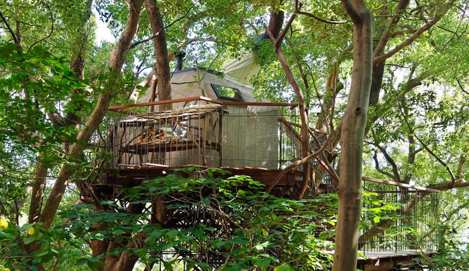Bird's Nest Atami, Bird's Nest Atami by Hiroshi Nakamura & NAP, Hiroshi Nakamura & NAP, Hiroshi Nakamura, Takashi Kobayashi, tea, teahouse, teahouses, Japan, largest treehouse, nest, nests, crow, crows, freestanding, tree, trees, treehouse, treehouses, living tree, living trees, nature, environment, architecture, design