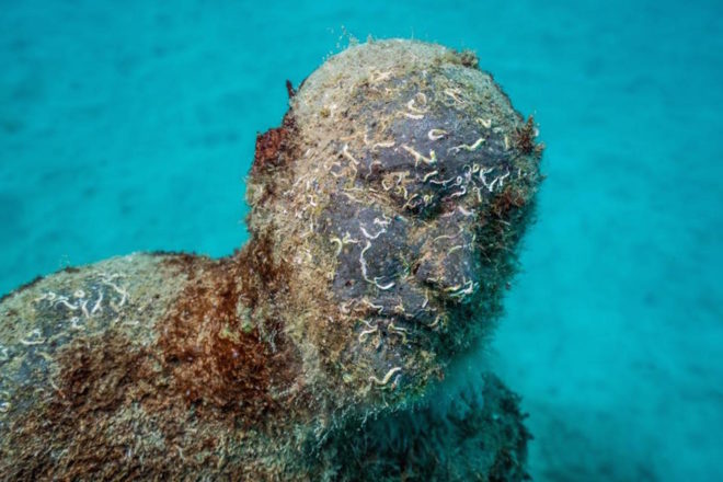 Museo Atlantico, Museo Atlantico installations, Museo Atlantico opening, Museo Atlantico by Jason de Caires Taylor, artificial reef museum, underwater museum, Europe underwater museum, Human Gyre underwater, Lanzarote underwater museum