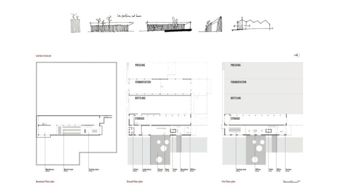 MADE Associati Architetti, New BIO Winery, beechwood, timber cladding, winery, Italy, organic wine, green architecture, wooden planks, timber façade, green renovation, biodiversity, locally sourced timber, sustainably harvested wood